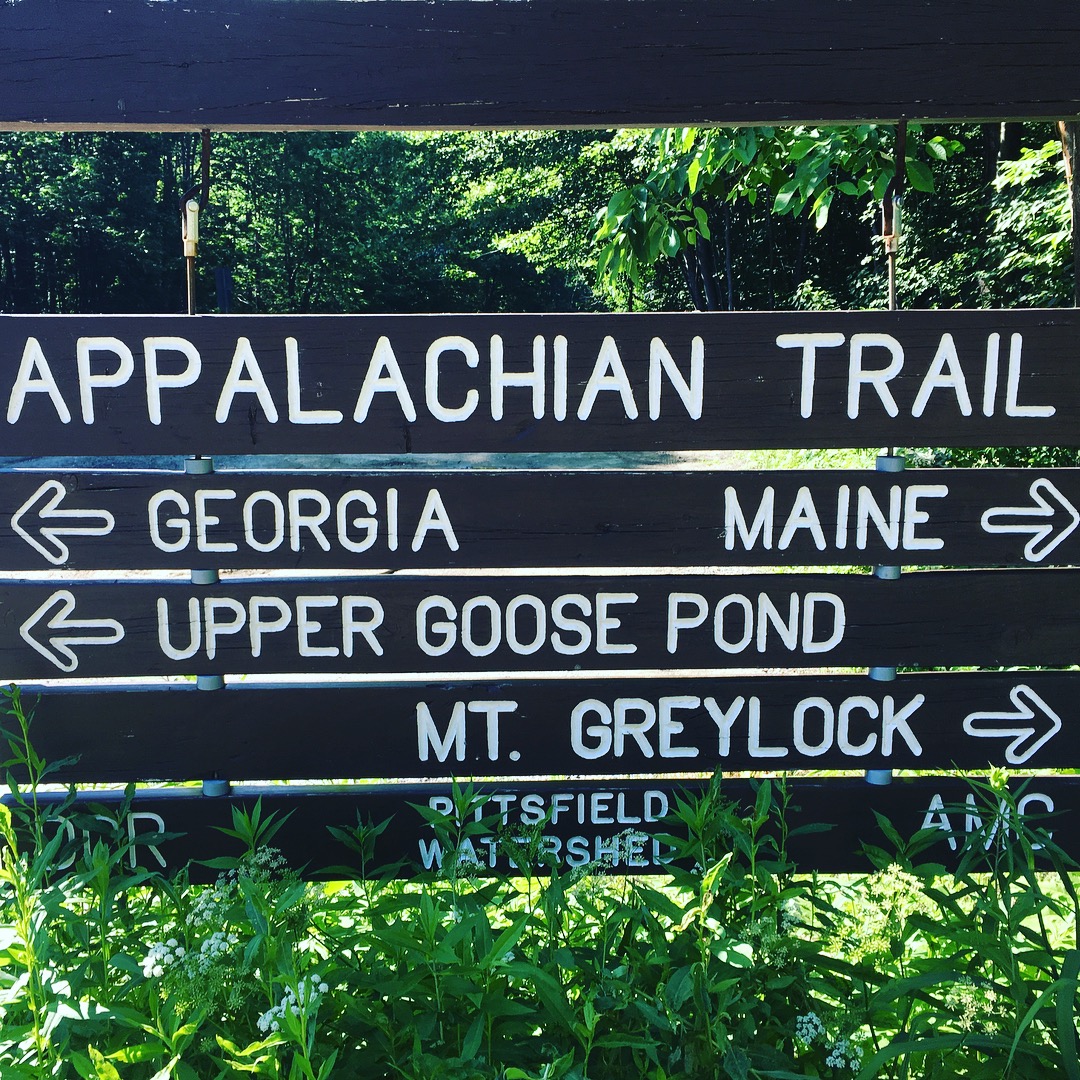 You are currently viewing How Do Appalachian Trail Hikers Push Through Adversities?